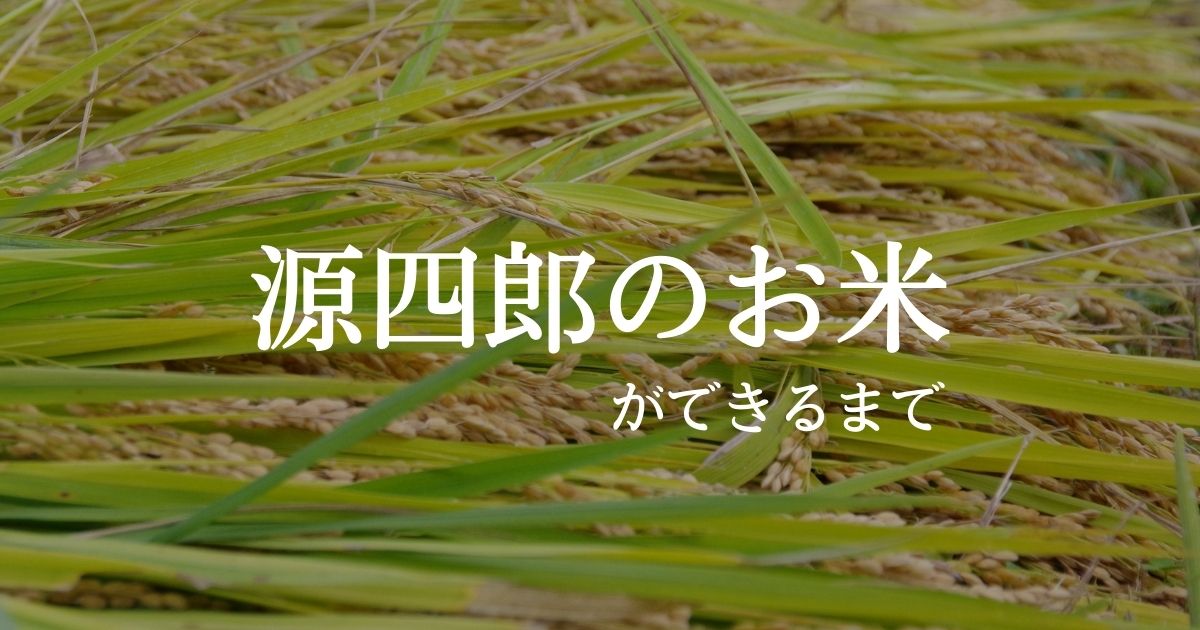 源四郎のお米のイメージ