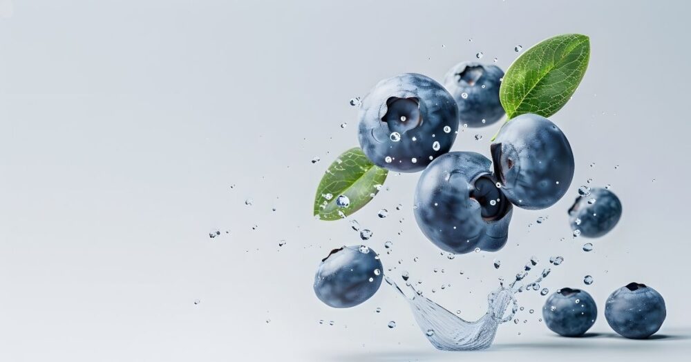 鮮度のイメージ